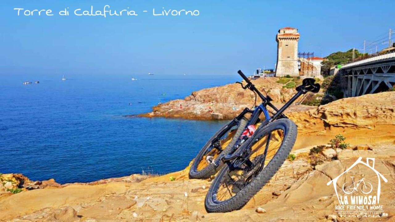 La Mimosa - Bike Friendly Home Rosignano Solvay Kültér fotó