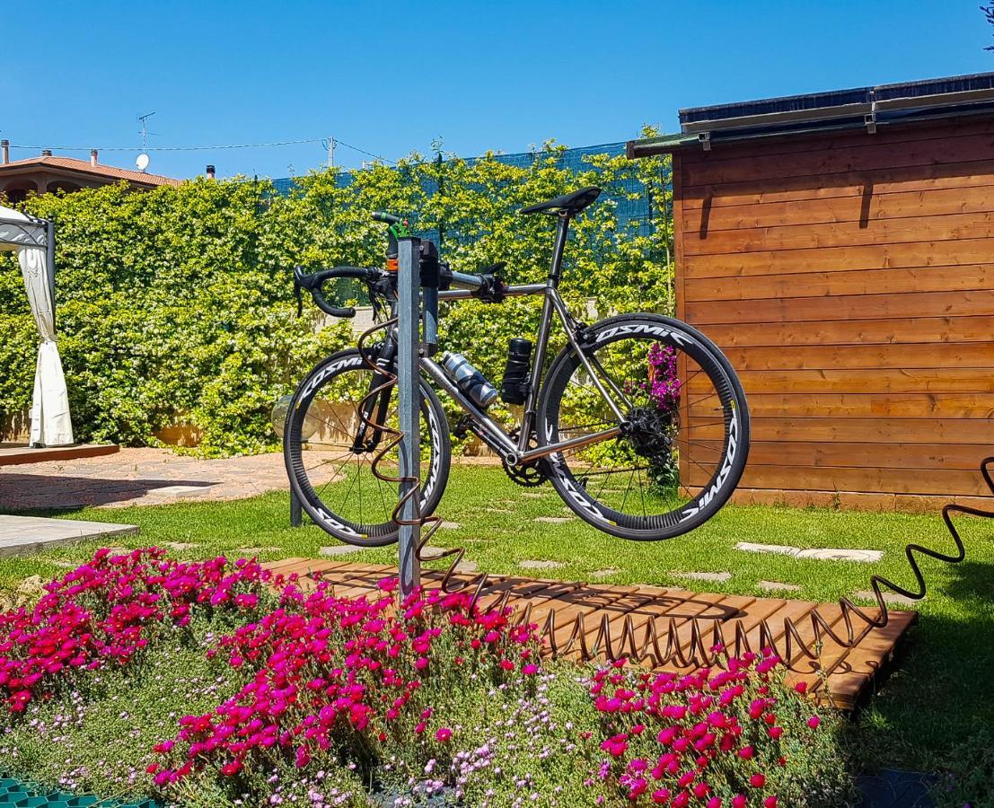 La Mimosa - Bike Friendly Home Rosignano Solvay Kültér fotó